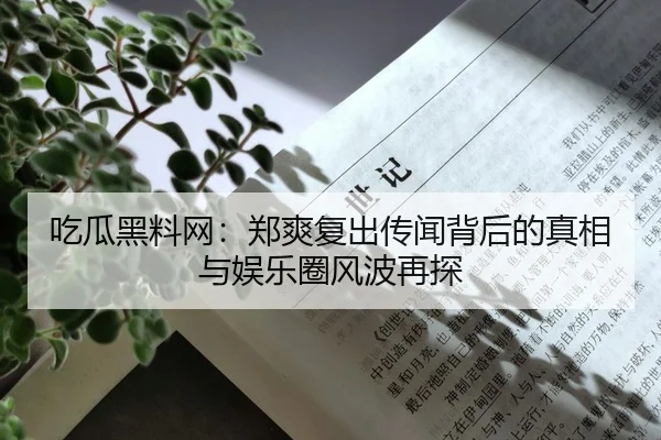 chi-gua-hei-liao-wang-zheng-shuang-fu-chu-chuan-wen-bei-hou-de-zhen-xiang-yu-yu-le-quan-feng-bo-zai-tan-1-544.jpg
